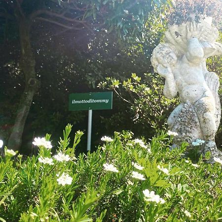 Il Motto Di Tommy Bed & Breakfast Castelveccana ภายนอก รูปภาพ