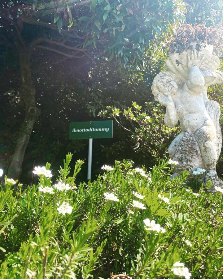 Il Motto Di Tommy Bed & Breakfast Castelveccana ภายนอก รูปภาพ